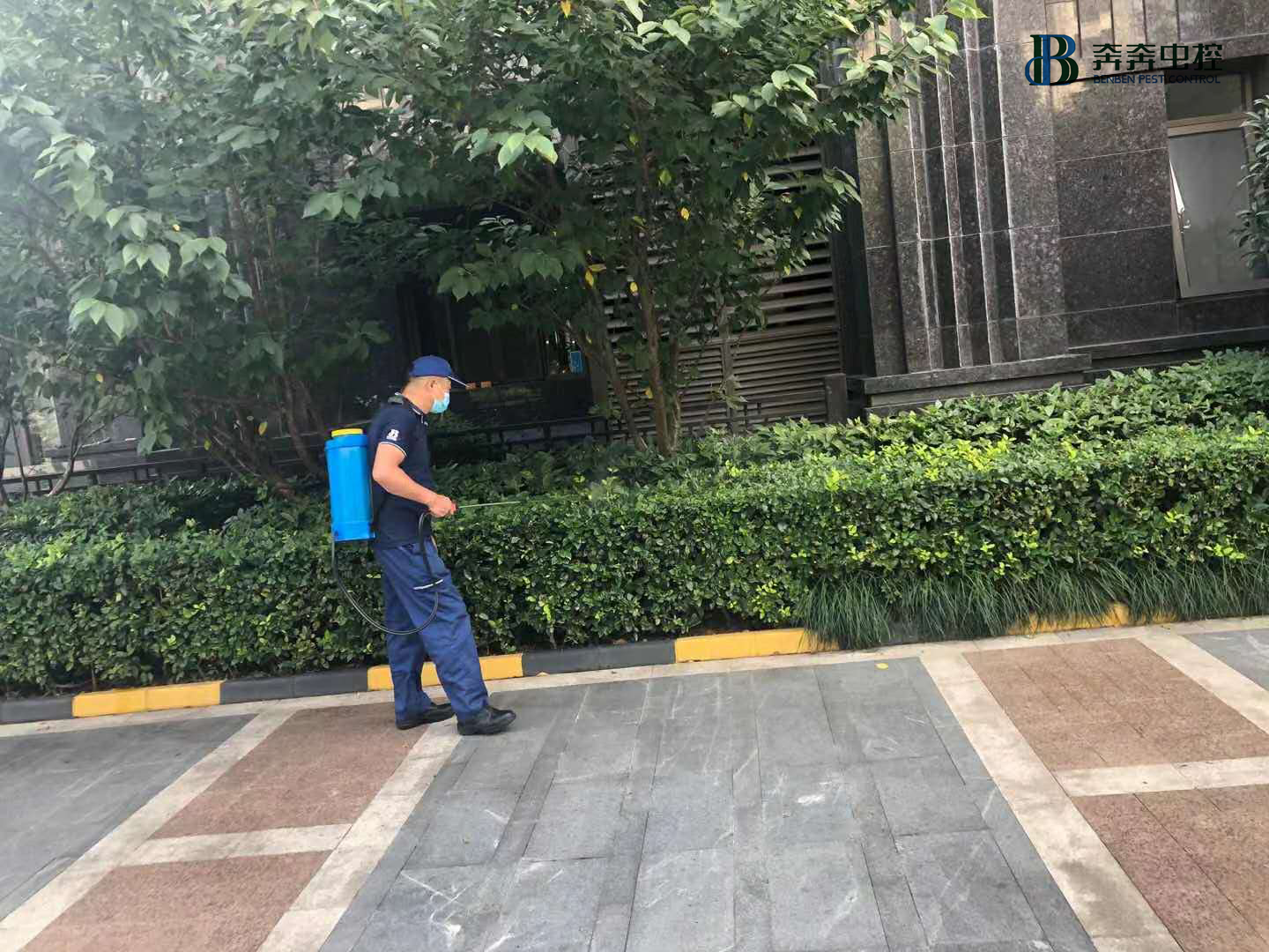 上海專業(yè)滅蟑螂公司——您身邊的滅蟲害專家