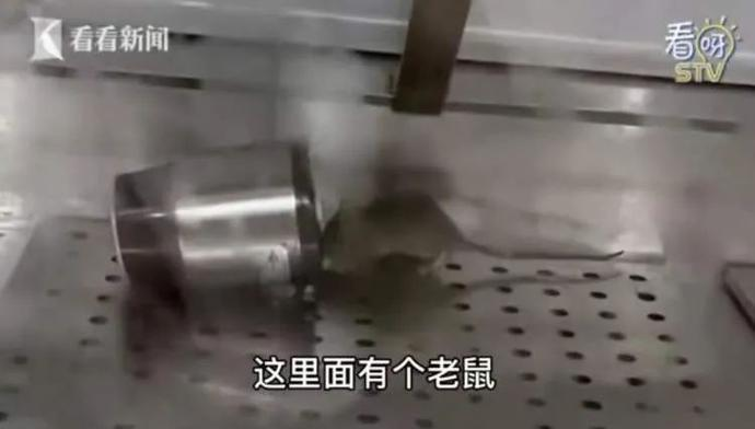 食品柜里老鼠亂竄?紫燕百味雞部分門店停業.