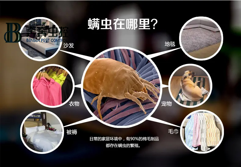 每天都和蟲蟲睡在一起?