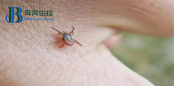 蜱蟲要遠(yuǎn)離！