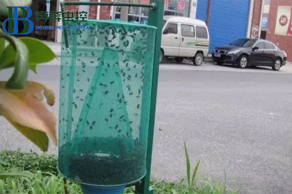消滅蒼蠅,你知道有多少招嗎?