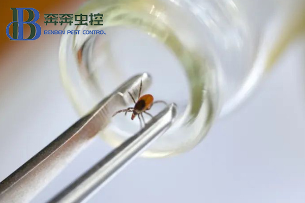 親近大自然,謹防被蜱蟲“叮”上