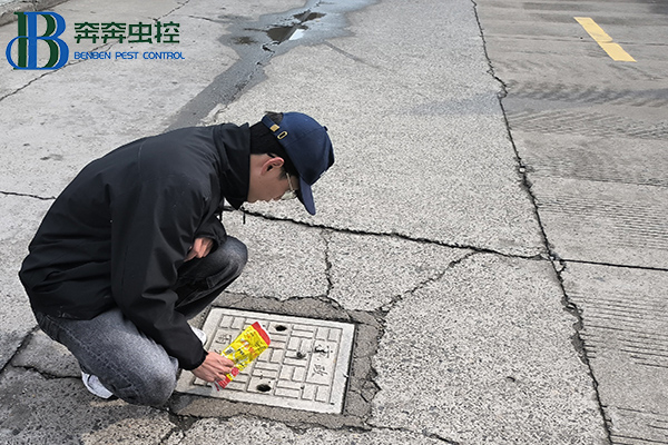 “衛”愛守護,健康校園!消滅四害,人人有責