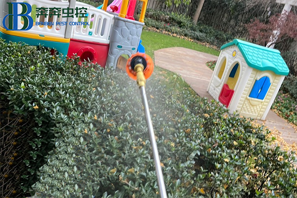 學校如何防治四害