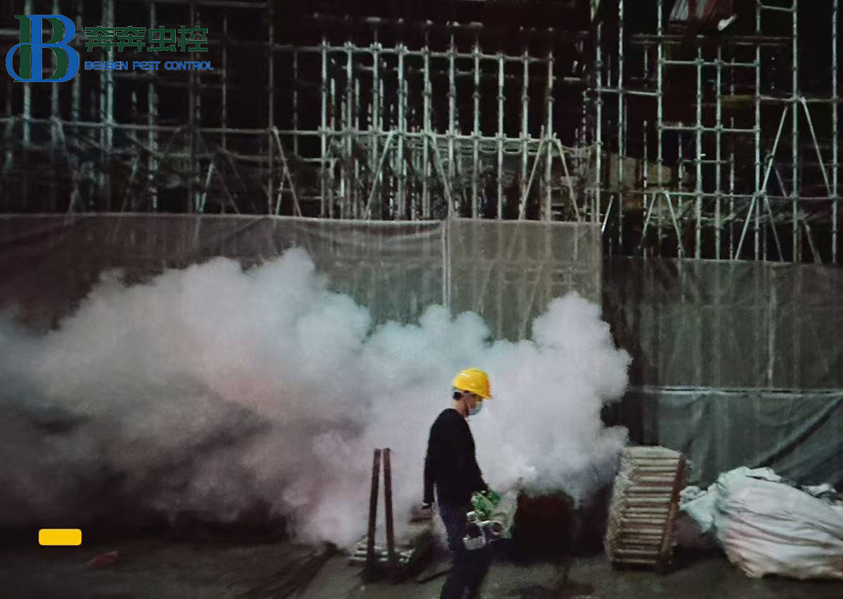 工地夏季滅蚊攻略:從“治蚊”到“防蚊”,守護施工安全與健康